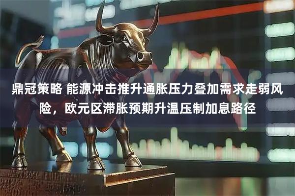 鼎冠策略 能源冲击推升通胀压力叠加需求走弱风险，欧元区滞胀预期升温压制加息路径