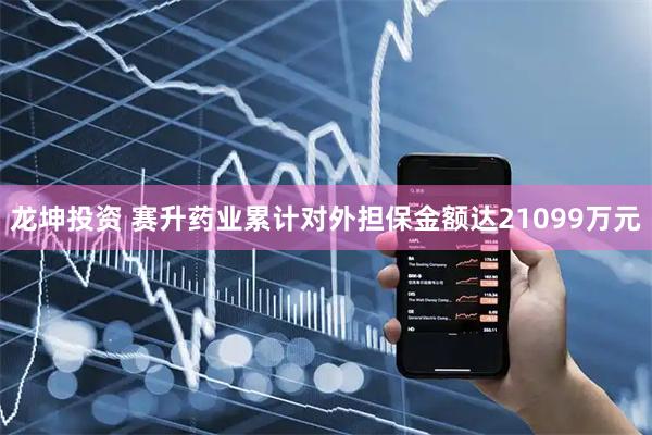 龙坤投资 赛升药业累计对外担保金额达21099万元